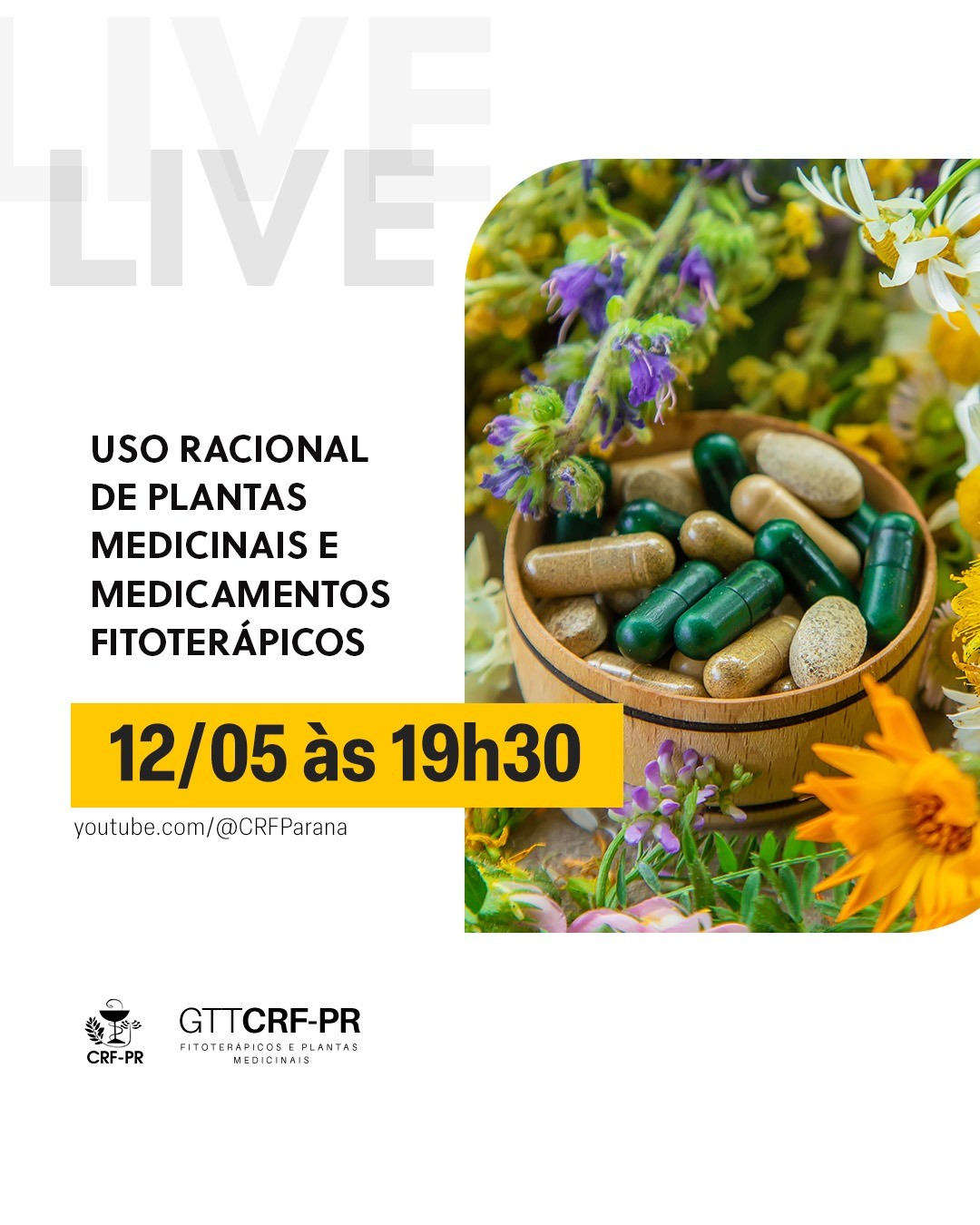 live-uso-racional-de-plantas-medicinais-e-medicamentos-fitoterapicos