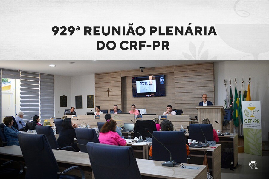 929-reuniao-plenaria